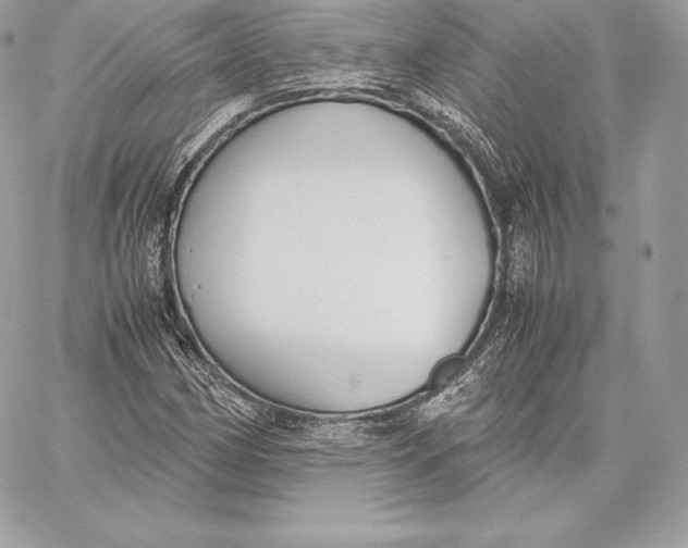 X0000059801162200511111553