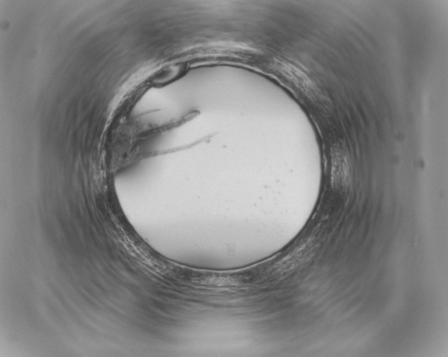 X0000059801164200511111553