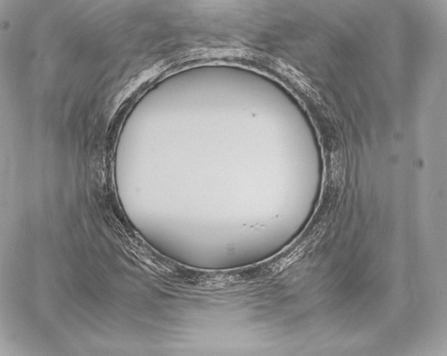 X0000059801165200511111553