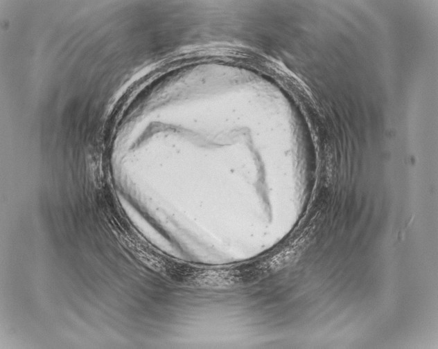 X0000059801166200511111553