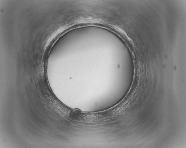 X0000059801167200511111553