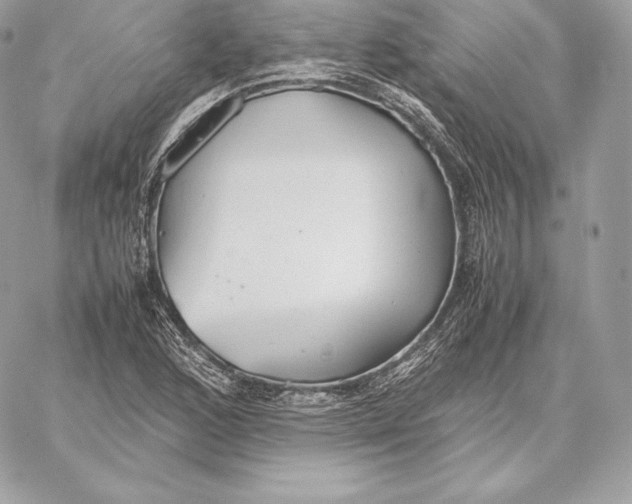 X0000059801168200511111553