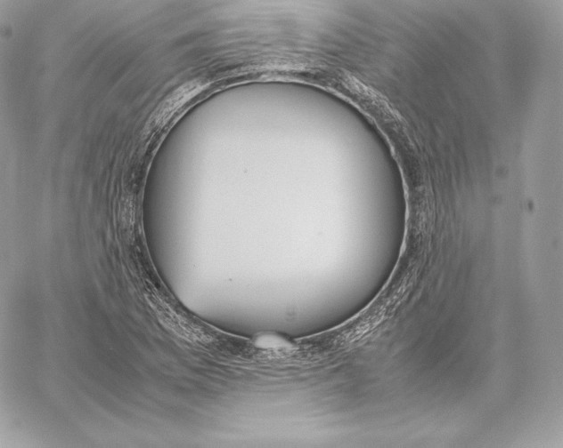 X0000059801169200511111553