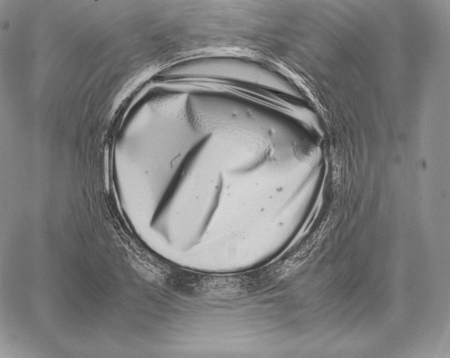 X0000059801171200511111553