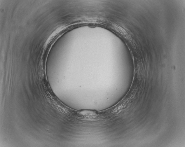 X0000059801172200511111553