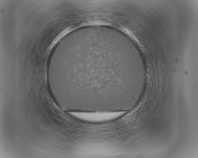 X0000059801173200511111553