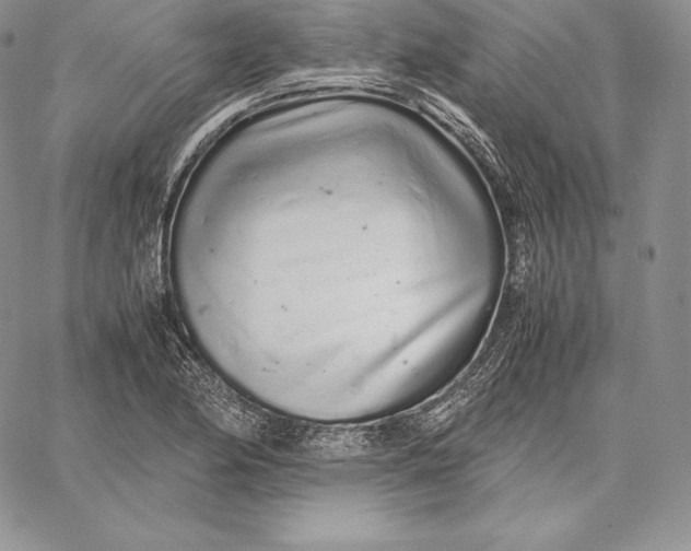 X0000059801174200511111553