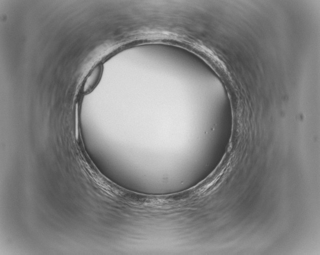 X0000059801175200511111553