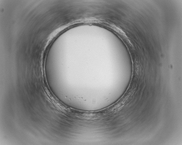 X0000059801176200511111553