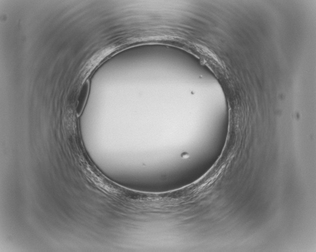 X0000059801177200511111553