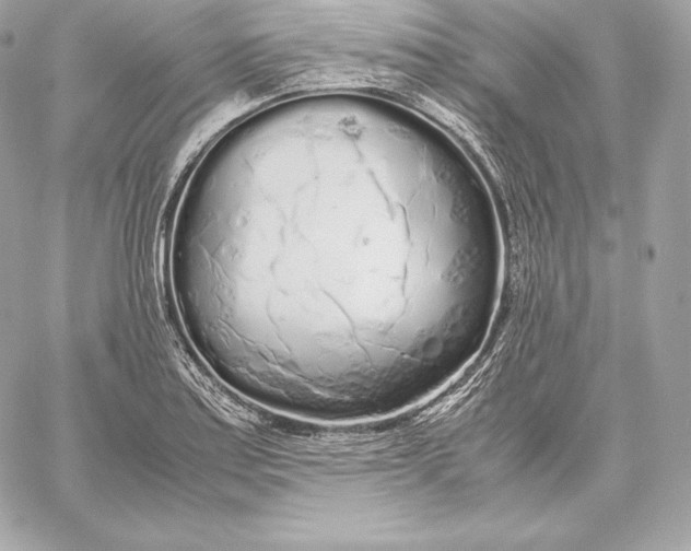 X0000059801179200511111553