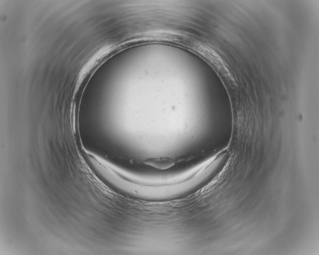 X0000059801180200511111553