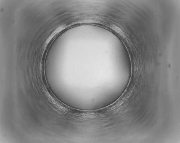 X0000059801181200511111553