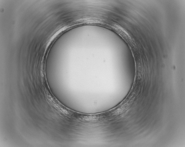 X0000059801182200511111553