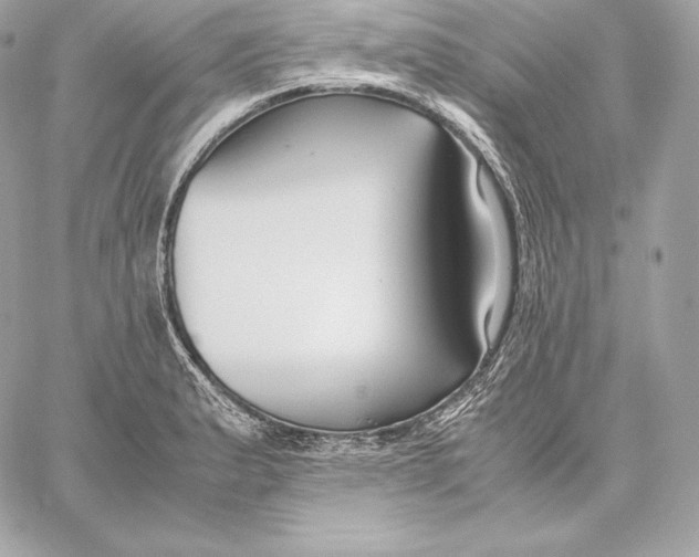 X0000059801183200511111553