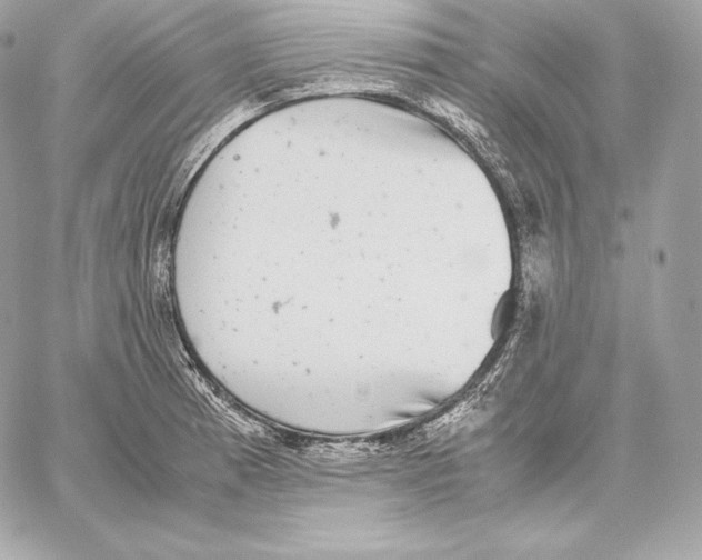 X0000059801185200511111553