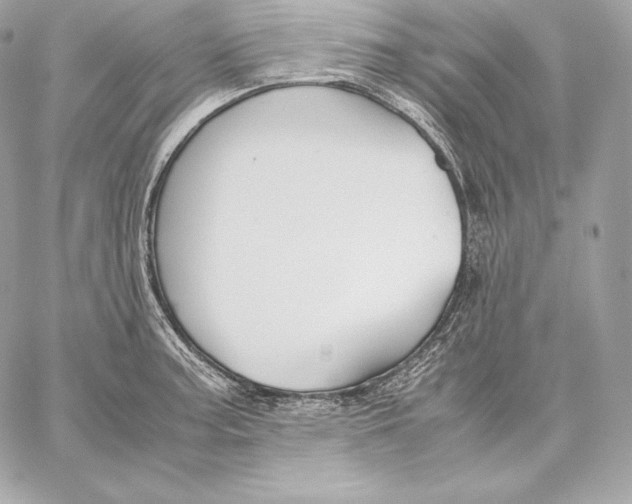 X0000059801187200511111553