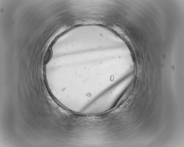 X0000059801189200511111553