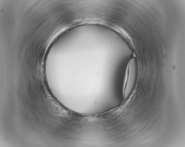 X0000059801190200511111553