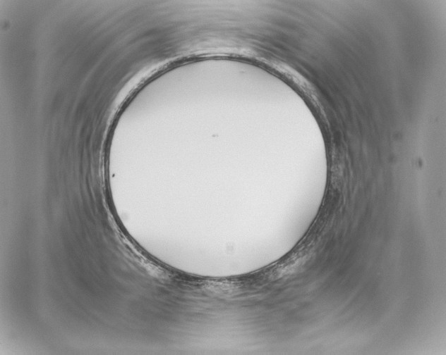 X0000059801191200511111553