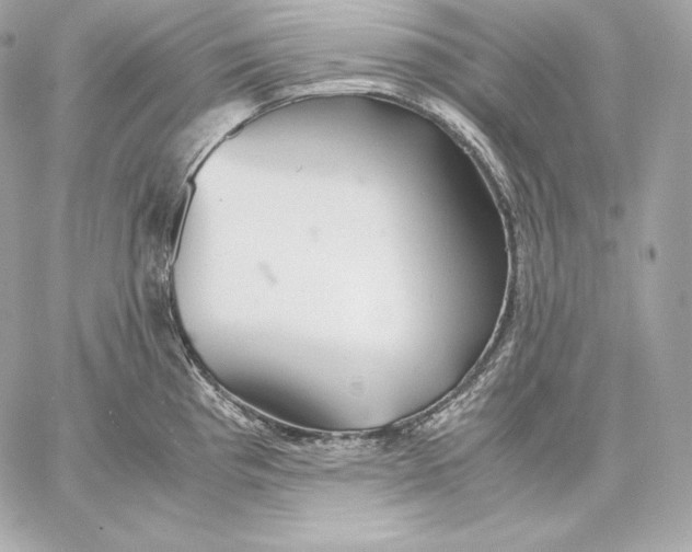 X0000059801193200511111553