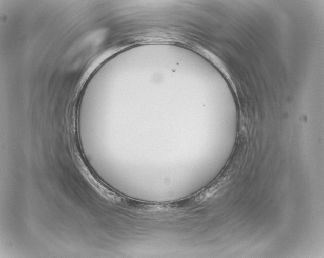 X0000059801195200511111553