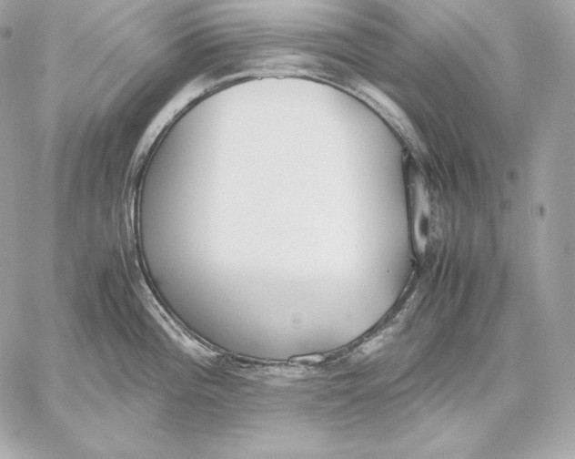 X0000059801196200511111553