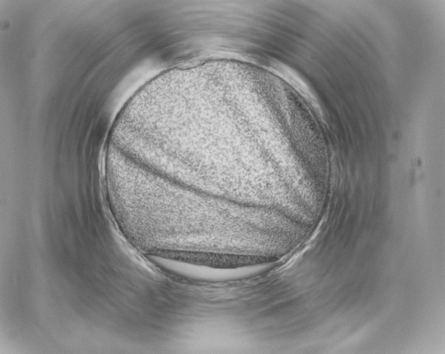 X0000059801198200511111553