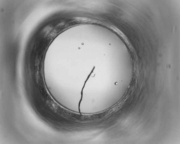 X0000059801199200511111553