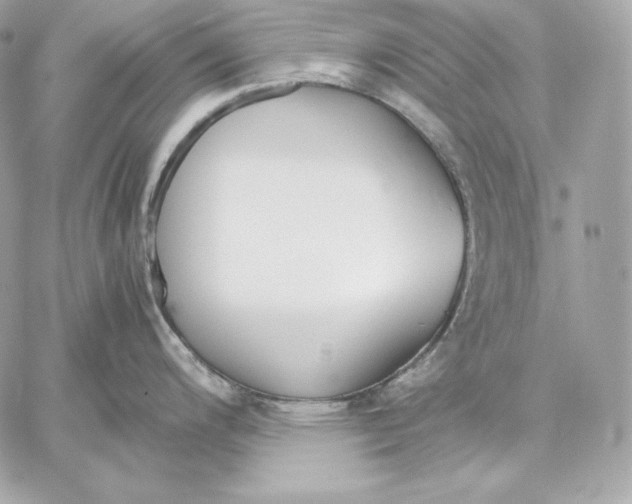 X0000059801200200511111553