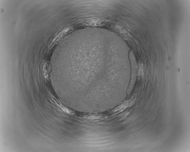 X0000059801202200511111552