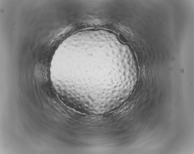 X0000059801205200511111552