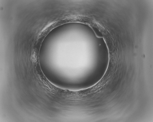 X0000059801206200511111552