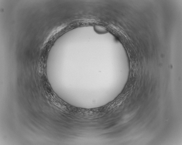 X0000059801207200511111552