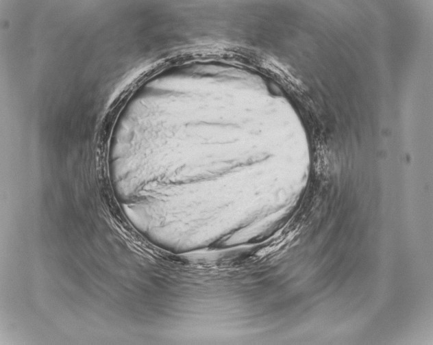 X0000059801208200511111552