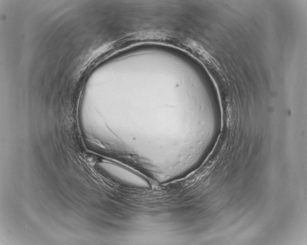 X0000059801213200511111552