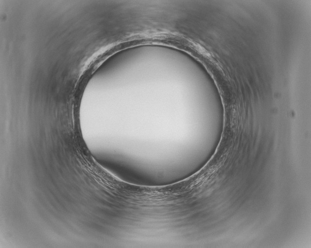 X0000059801214200511111552