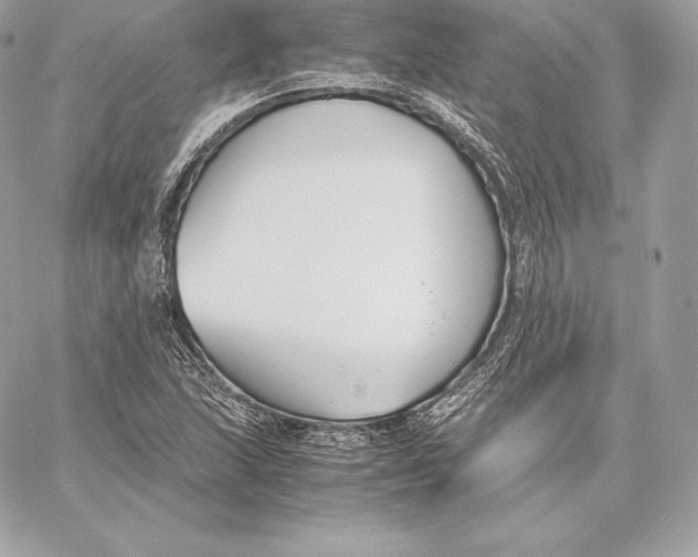 X0000059801215200511111552