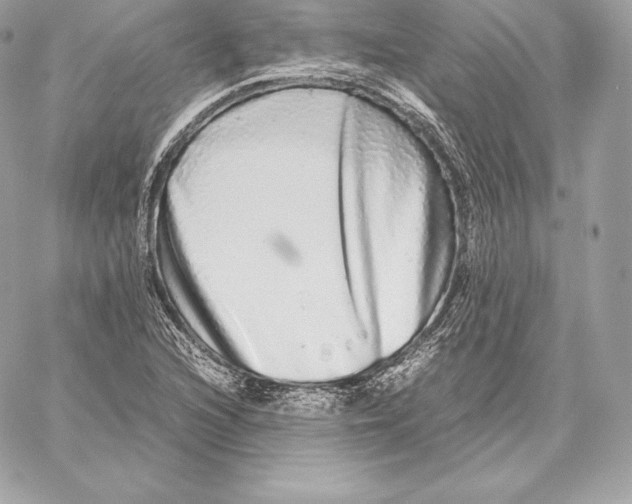 X0000059801216200511111552