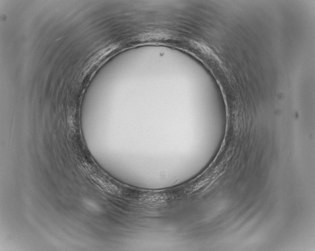 X0000059801217200511111552