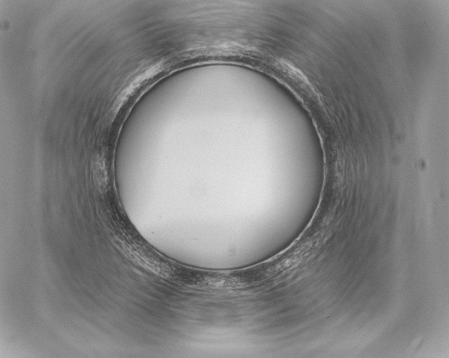 X0000059801218200511111552