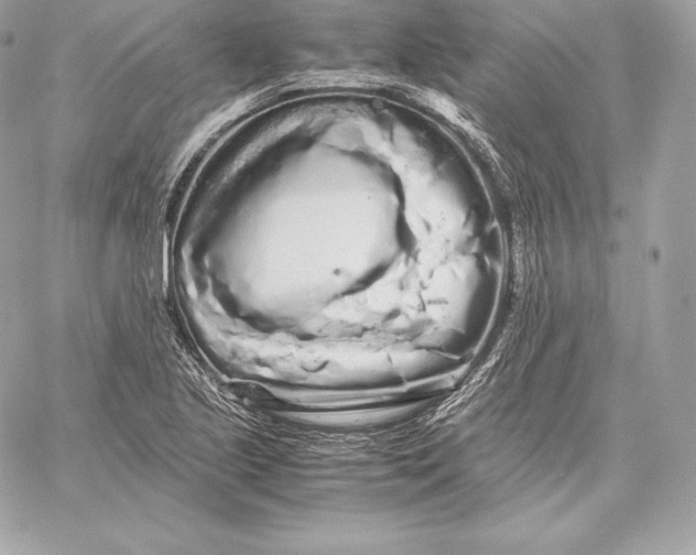 X0000059801221200511111552