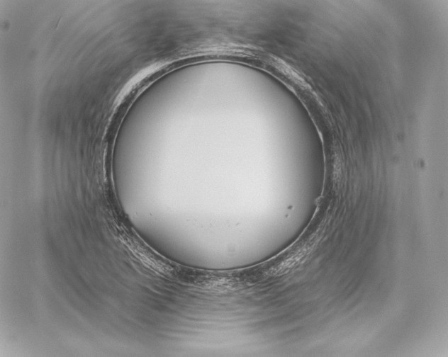 X0000059801222200511111552