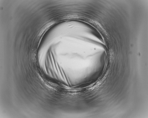 X0000059801225200511111552