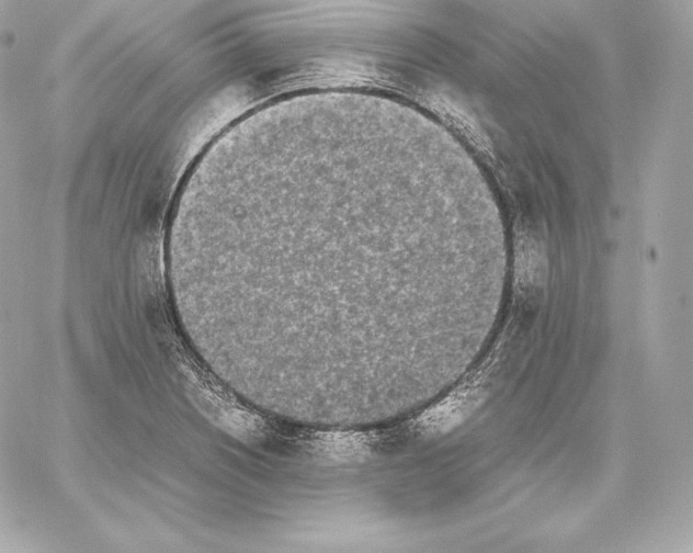 X0000059801226200511111552