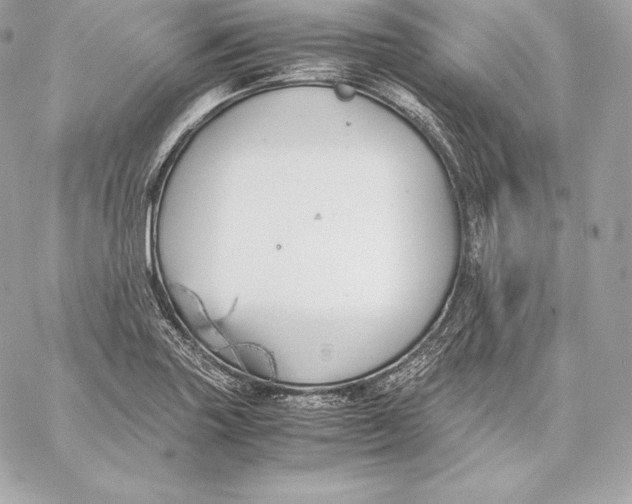 X0000059801227200511111552