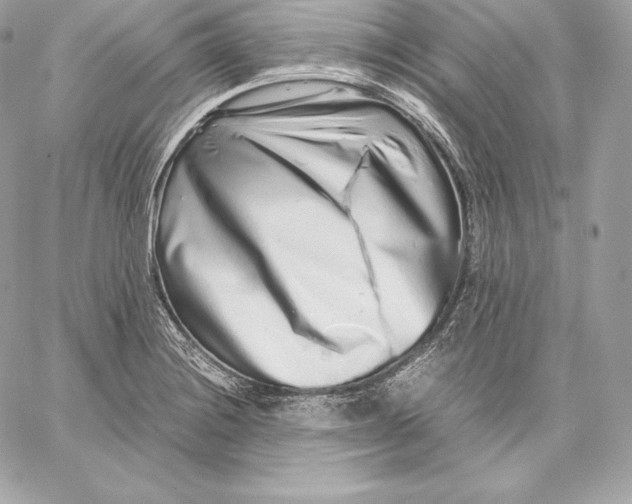 X0000059801228200511111552