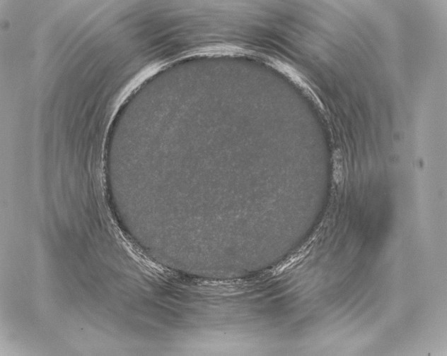 X0000059801229200511111552