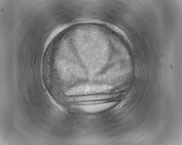 X0000059801231200511111552