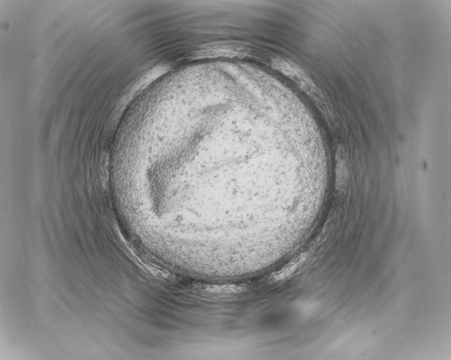 X0000059801233200511111553